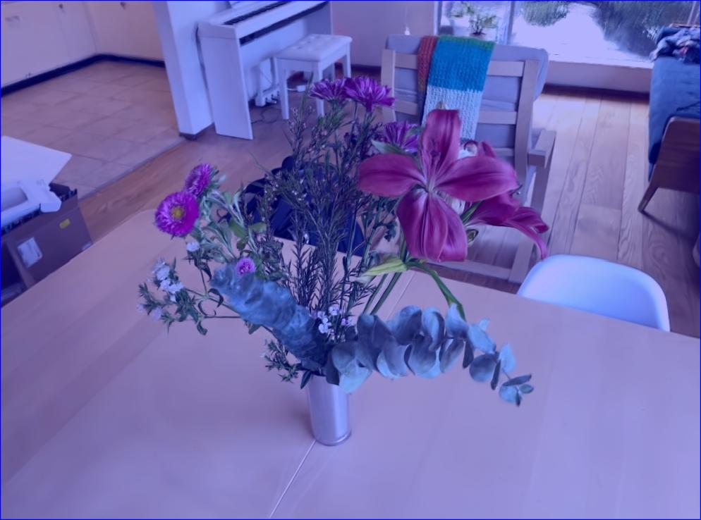 Bouquet LLAVA Retrieved
